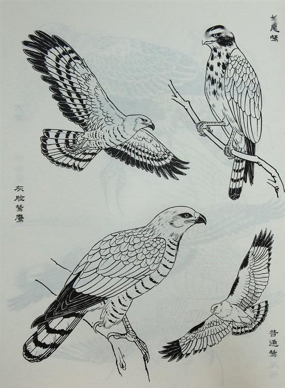 转载中国画线描艺术是宝贵的文化遗产