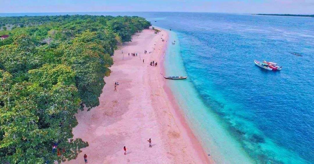 粉色少女海滩——印尼的科莫多岛 鲜为人知的浪漫粉色沙滩,比巴厘岛更