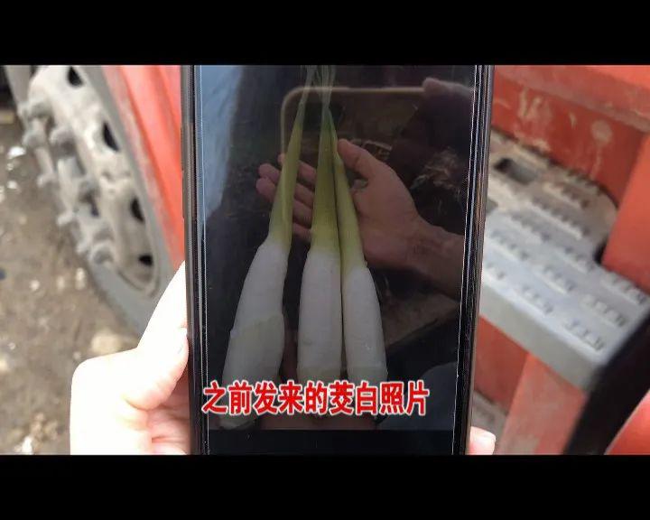 丈邱人口