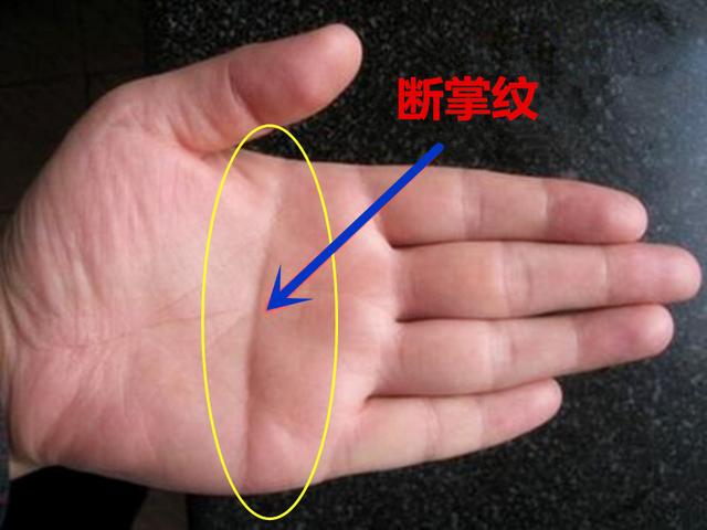 10c56d4006f04d7ca49f5c097f552f0a.jpeg