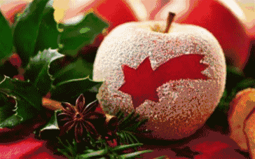 1262142258ad4e1b9c81b283d9de34d2.gif