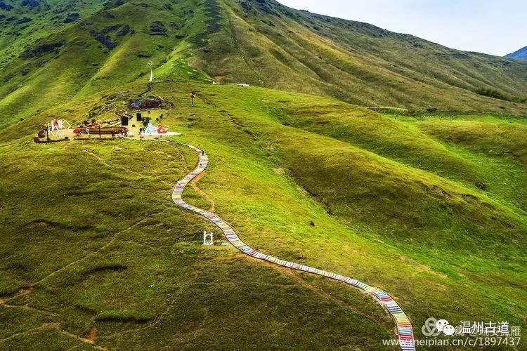 南方最大的鸳鸯生态草场,你知道在哪里吗?_柘荣县