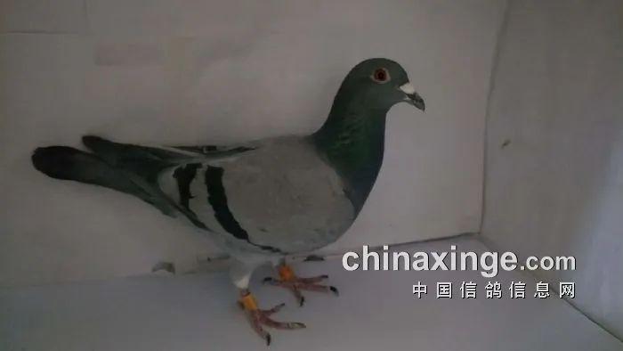 198bb1908cdb4059a6030f7d34124b07.jpeg