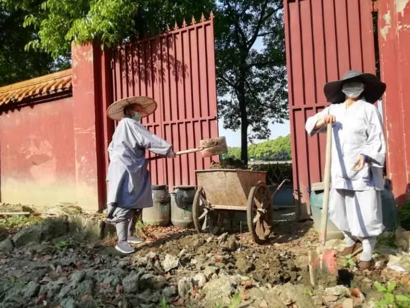 农禅并重勤劳作抢抓农时春耕忙丨湖北省佛教寺院农禅图景