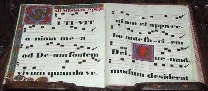 其多列曲谱_其多列简谱(2)