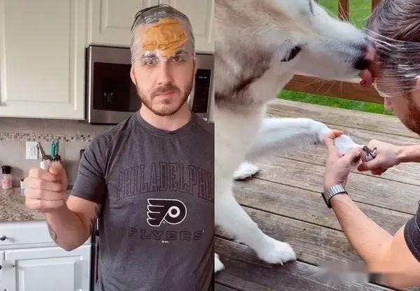 狗为啥吃人的指甲 2725015e12cb4125b4b8d1ad8e6dcca8.jpeg