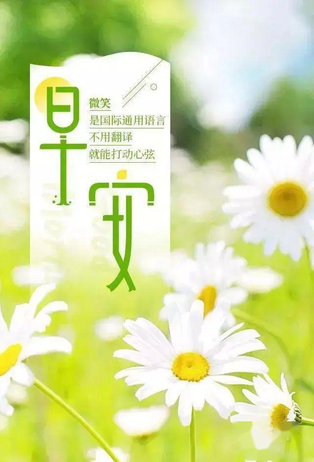 平常心的句子 2e14a7626a3a4d28bce9dbb8dd0681d7.jpeg