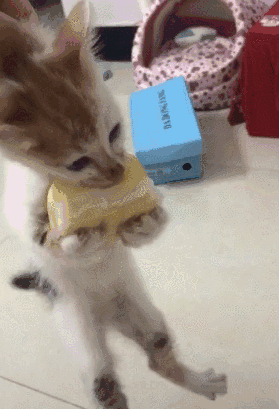 2f738d37bfef4b94af7bb3707ea6547b.gif