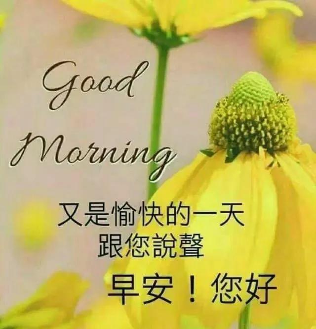 2fc71708d0ce499dbfbee0e4ef002e4a.jpeg