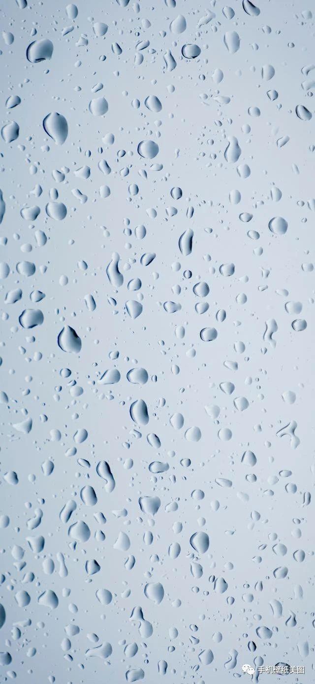 3370c2889f07498cb20ff35308e50686.jpeg