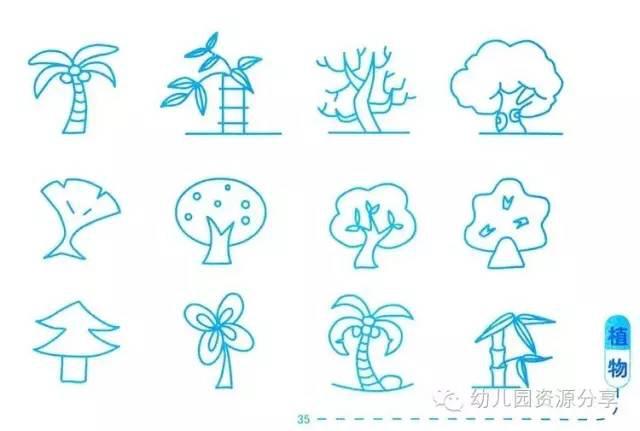 幼儿园植物类简笔画,简单也是美!