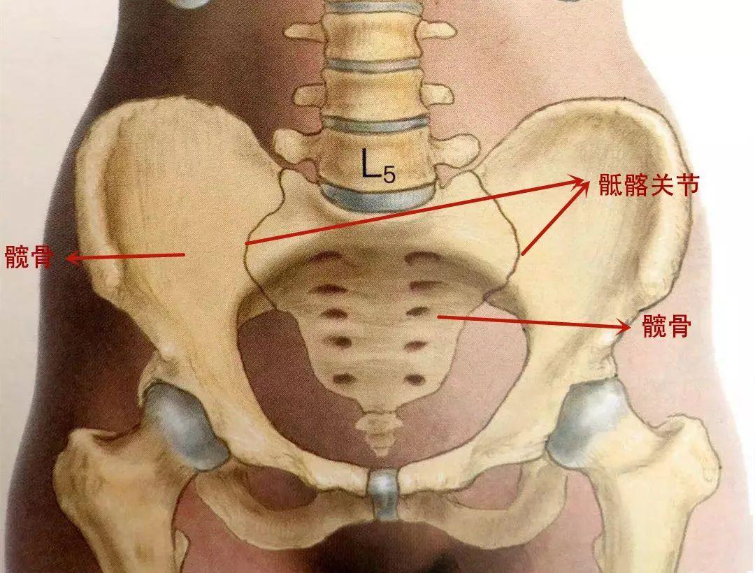 腰骶痛,长短腿,常常被忽略的骶髂关节紊乱该如何应对?