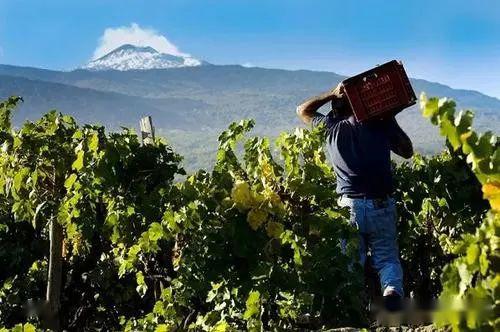 �����Һ�����:רע������������ɫ���ѾƲ�Ʒ��֪����ׯ��������ׯ...