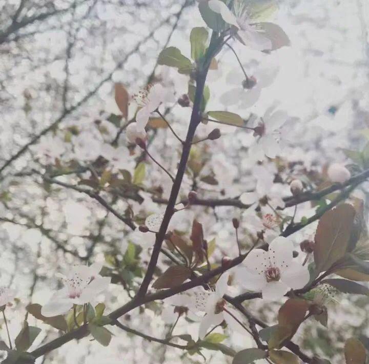 常州市2020年五月份G_常州市地图(3)