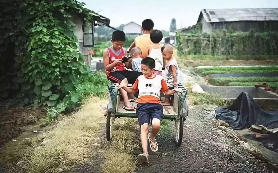 30年前稷山县各村割麦老照片:满满都是回忆!