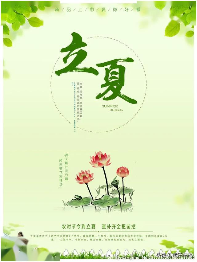 今日立夏句子,2020年立夏祝福语大全,高清立夏图片说说