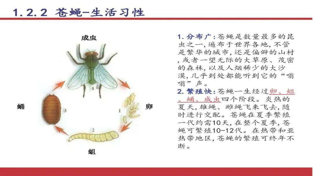 气温渐升!这份虫鼠害防治篇送给你