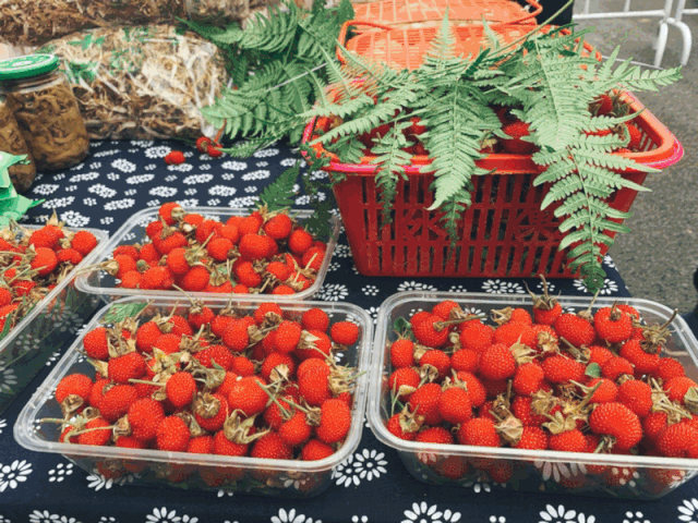 今年五一不用去远方,上虞这个乡镇成网红打卡地!_陈溪