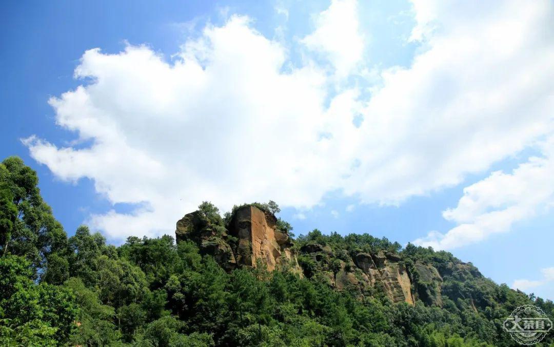 荣山旭水穹隆秘境荣县石笋沟茶叶主题公园