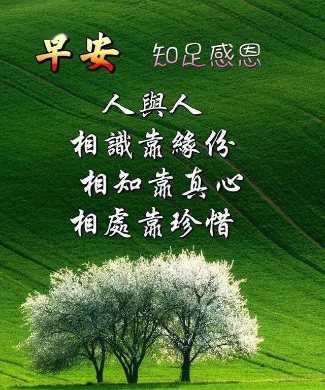 7d5d76d3aa5c45cdb3061becdbb174ff.jpeg