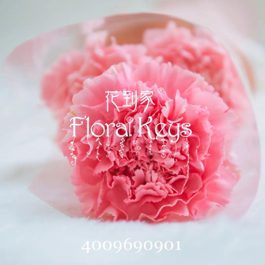 花到家floralkeys母亲节鲜花限定福利mothersdayhappiness