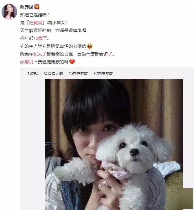 丝狗猜一成语_木猜一成语疯狂看图(3)