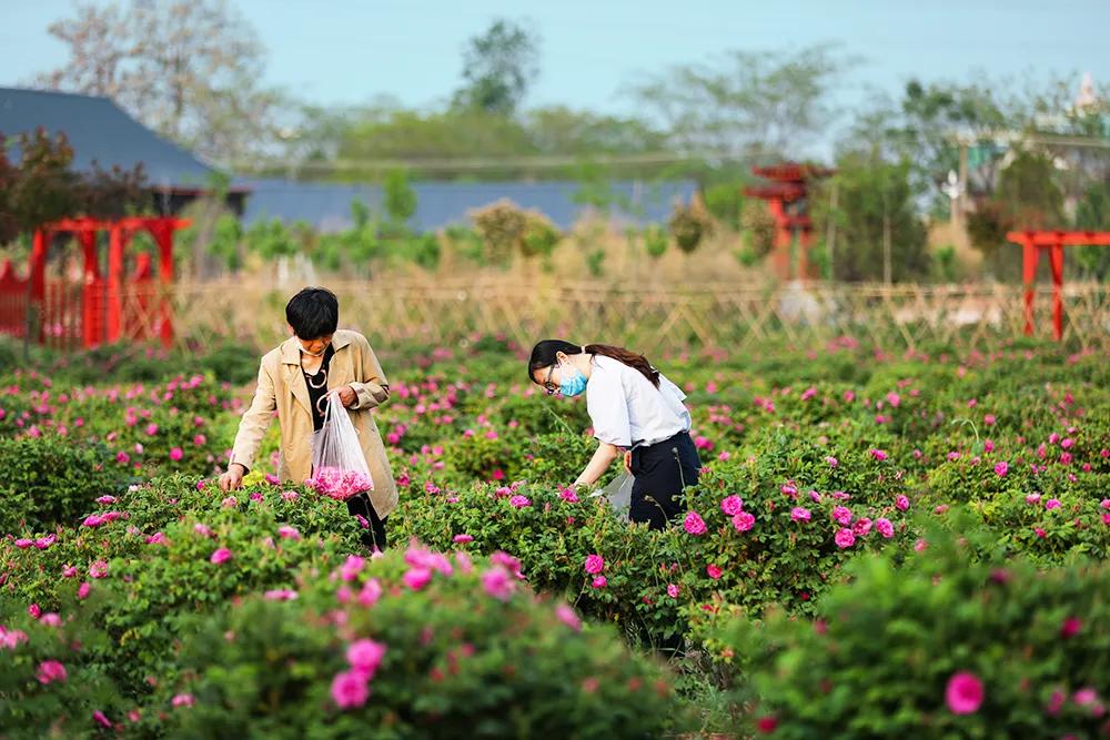 宁阳婚纱_宁阳复圣公园