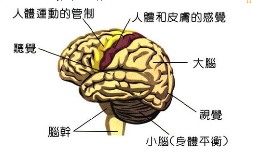 如何快速补肾的动作 88a06fd3d7794370a9bb38af4959a458.png