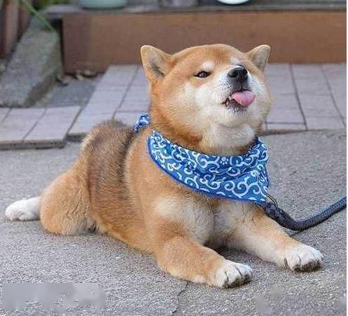 90faed2d16df45b98c4f9ad353143266.jpeg