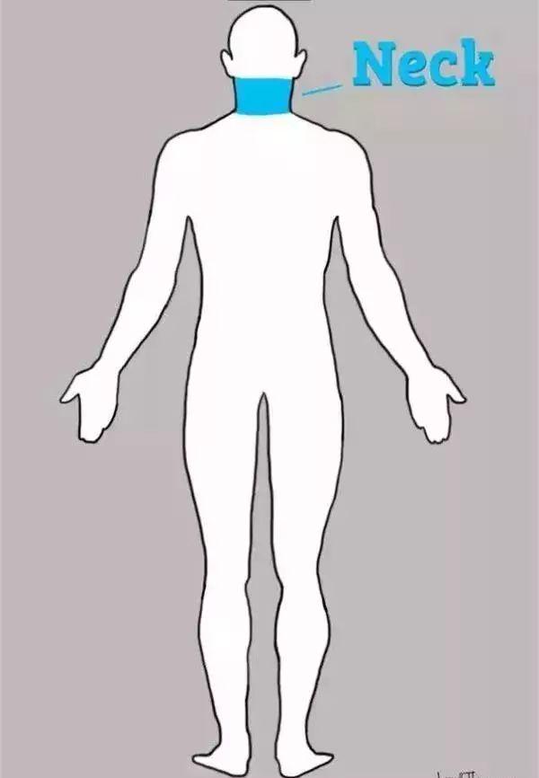 肾结石是哪个部位疼示意图 94ee68eb175045929936f1f6e04521c6.jpeg