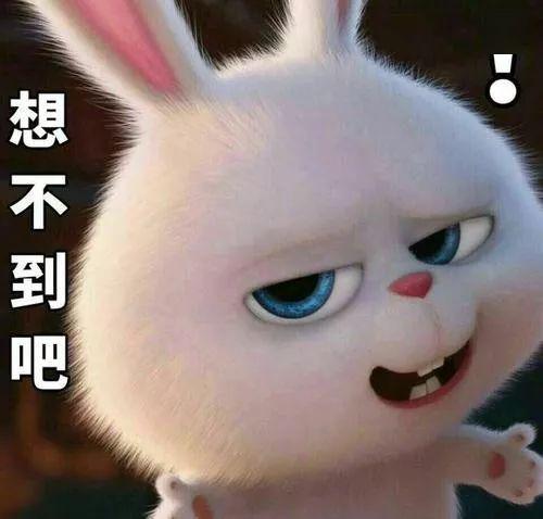 99970f8cb69249eb885324138dc131ce.jpeg