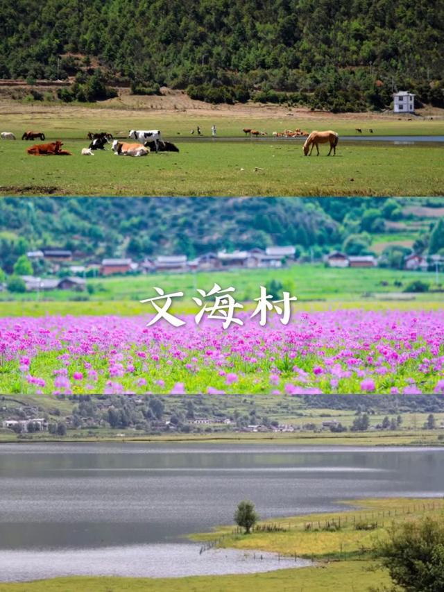 小贴士:文海村最好的季节是7月份,湖边野草盛开,超美的!