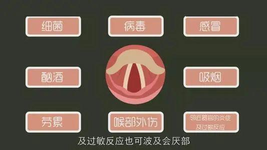 什么是急性会厌炎应如何预防