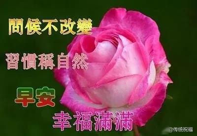 大家怎么说早安 a1ffbb5e03764c71b8929ba9ff6d3332.jpeg