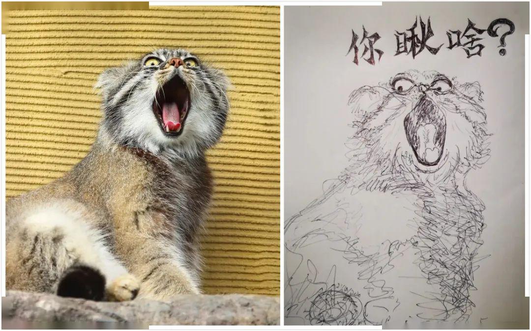 看完这幅画我家猫骂骂咧咧连票都没买扛着火车就走了