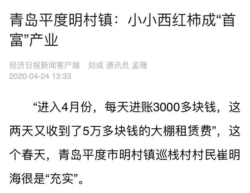 平度这个镇樱桃西红柿产业成"首富" 年产值10个亿!