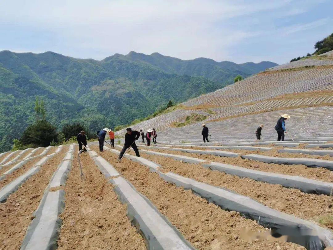 山阳县小河口镇有多少人口_山阳县城关一小张博