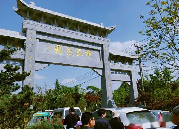 沭阳这10个景点你必须去