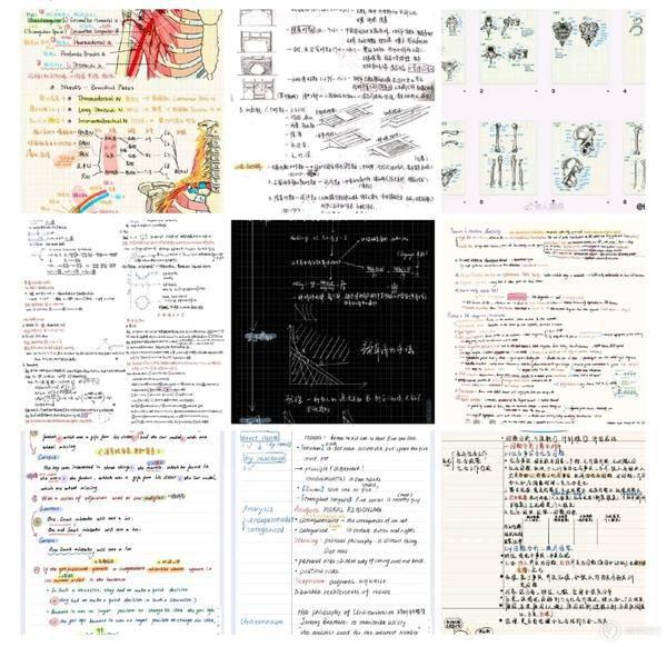 d9670b97b61b40c9b66953b21e8e2e96.jpeg