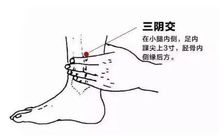 如何打通人体全部经脉 da31b0548e654da0a5492bdce576acd0.jpeg