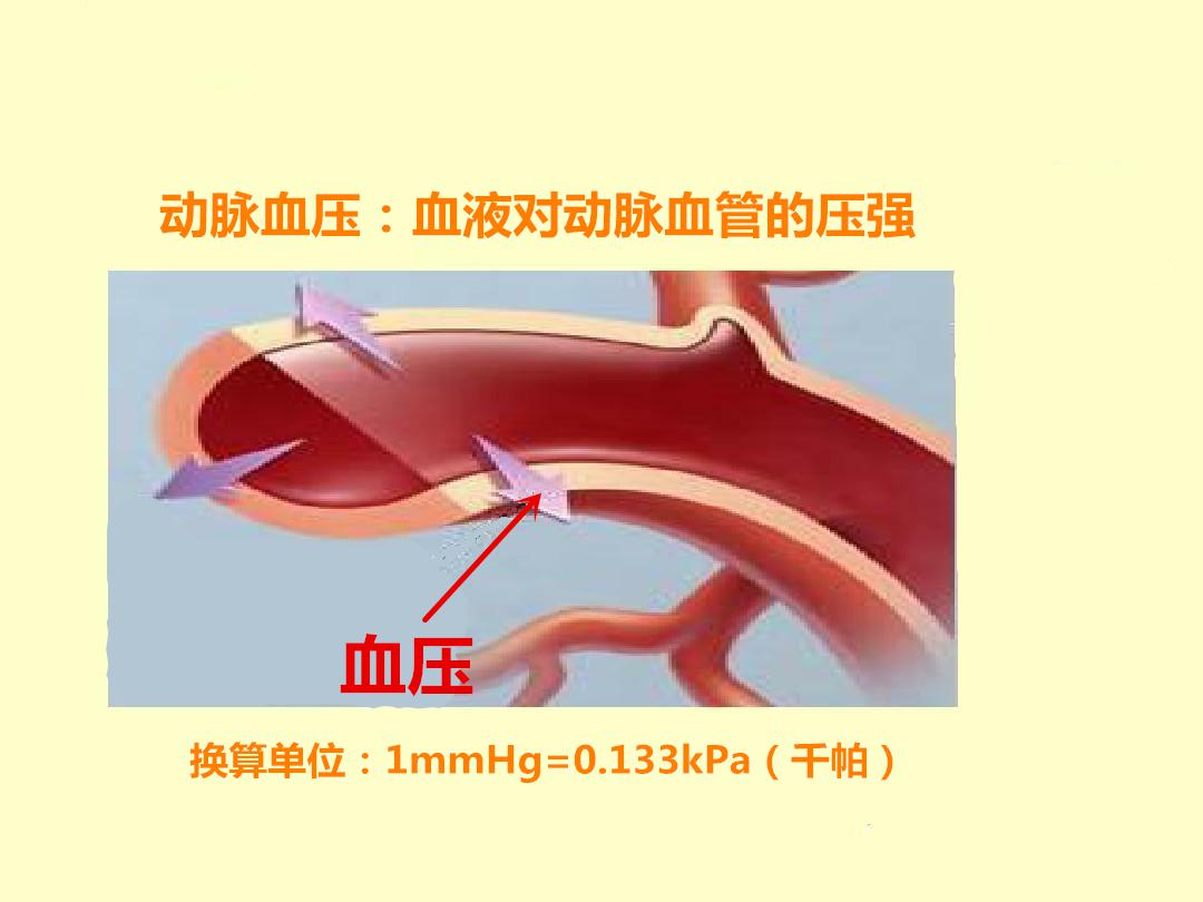 高低各不同 里提到了,我们测量的血压是动脉血压,就是血液对动脉血管