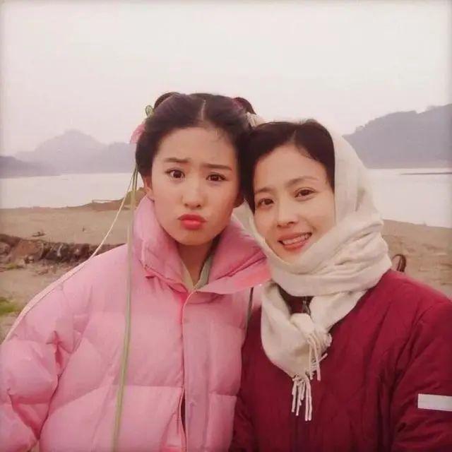 为了女儿刘亦菲,刘晓莉究竟付出了多少?_妈妈
