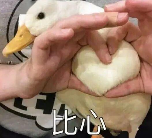 淮阴工学院校友排名_淮阴工学院2020级新生开学典礼,就在明天!