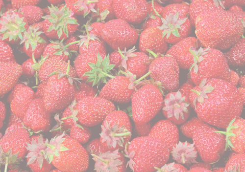 e2a8f3c788a2467d8f556dc838632a6d.gif