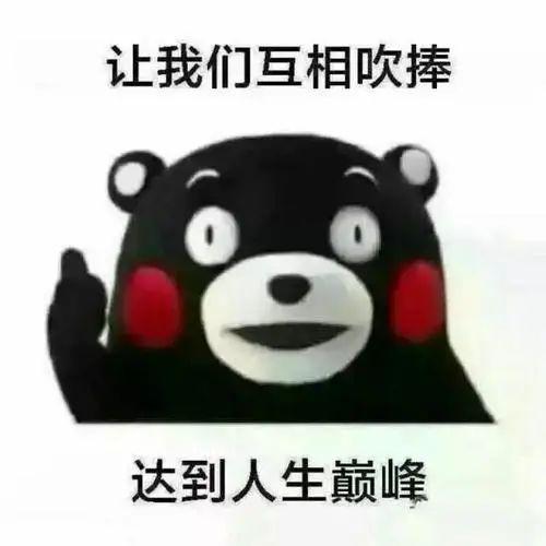 七,互相吹捧复习法