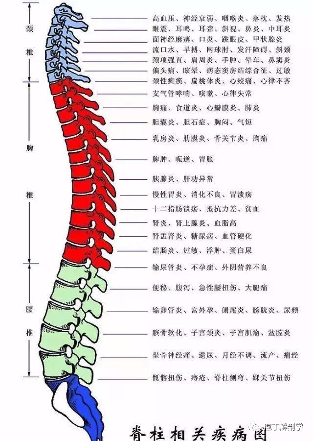 后背疼痛的根本原因大解析