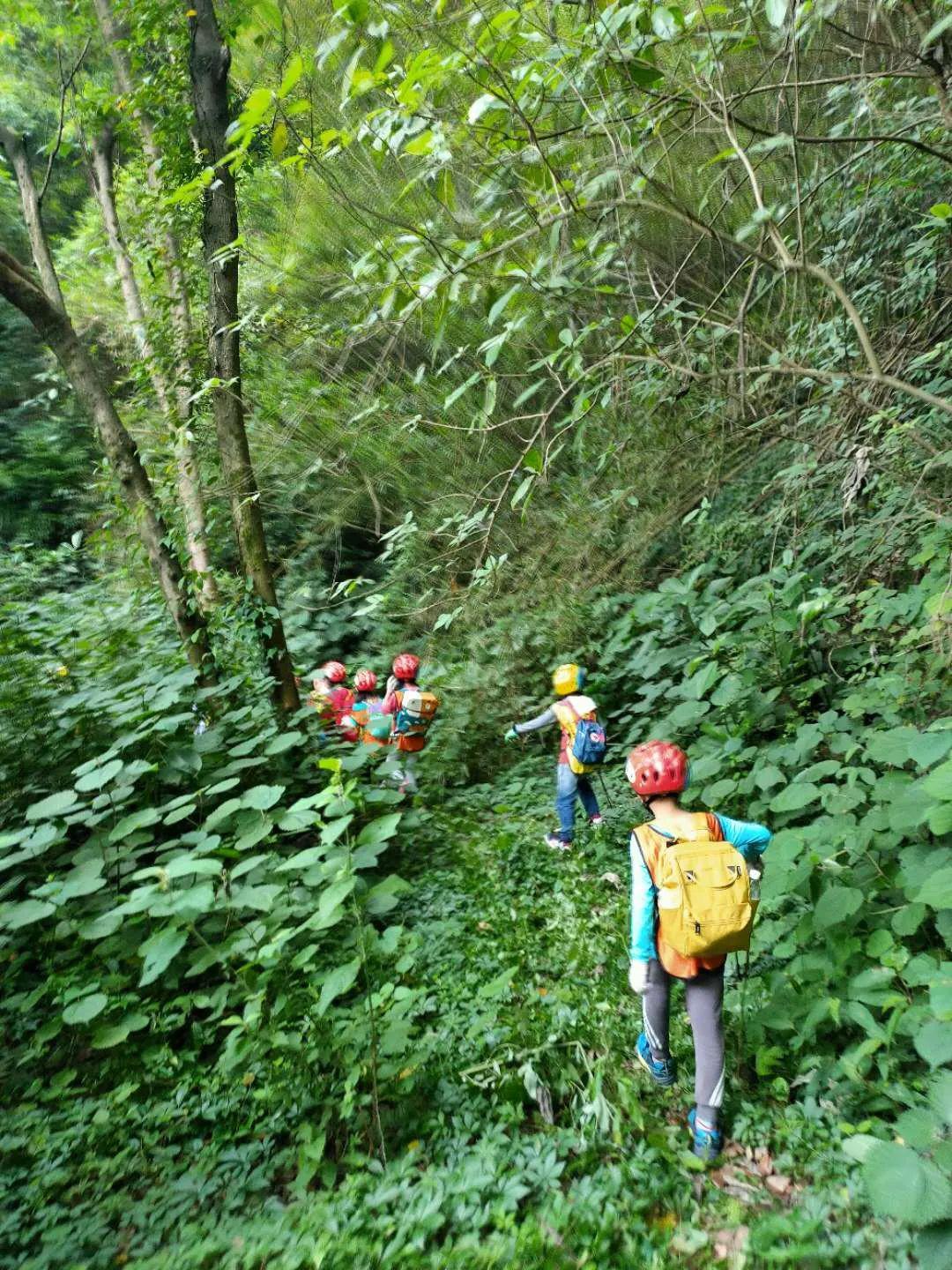 抓住假期的尾巴做个快乐的森林探险家5月45日均已成行赶紧报名哟