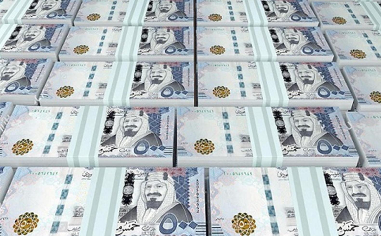 沙特GDP2020_沙特阿拉伯美女(2)