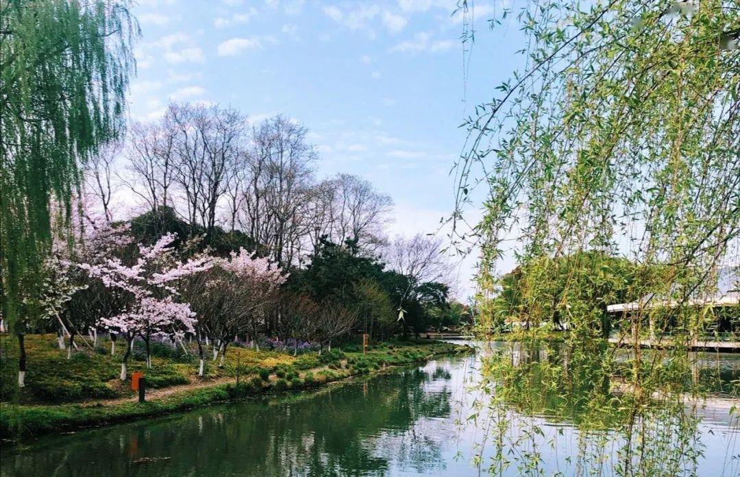 上海5月野餐地图让春天充满仪式感