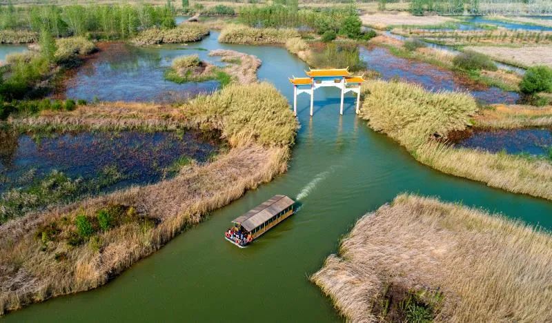 花海非遗玩偶洪泽湖湿地景区五一长假第三天真热闹